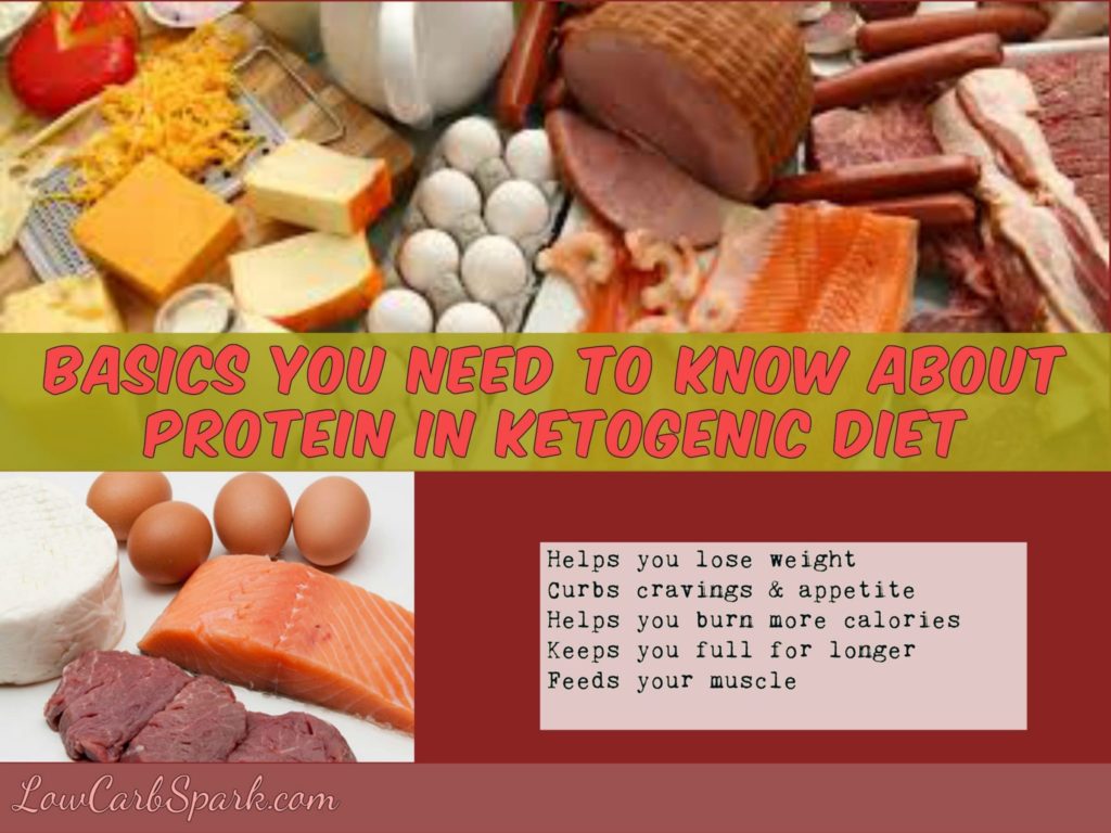 Basics you need to know about protein in Ketogenic diet
