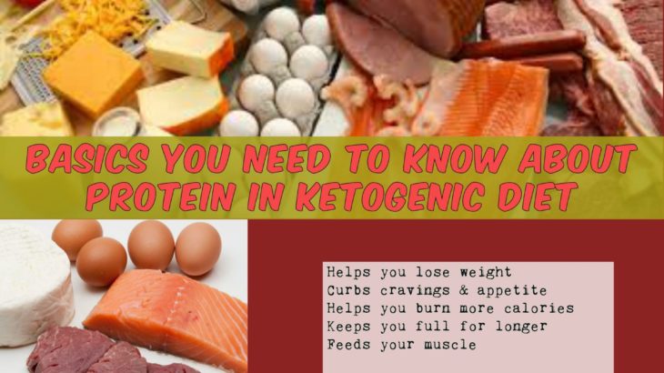 All About Protein in Ketogenic Diet +10 High Protein Foods to Eat