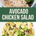 avocado chicken salad