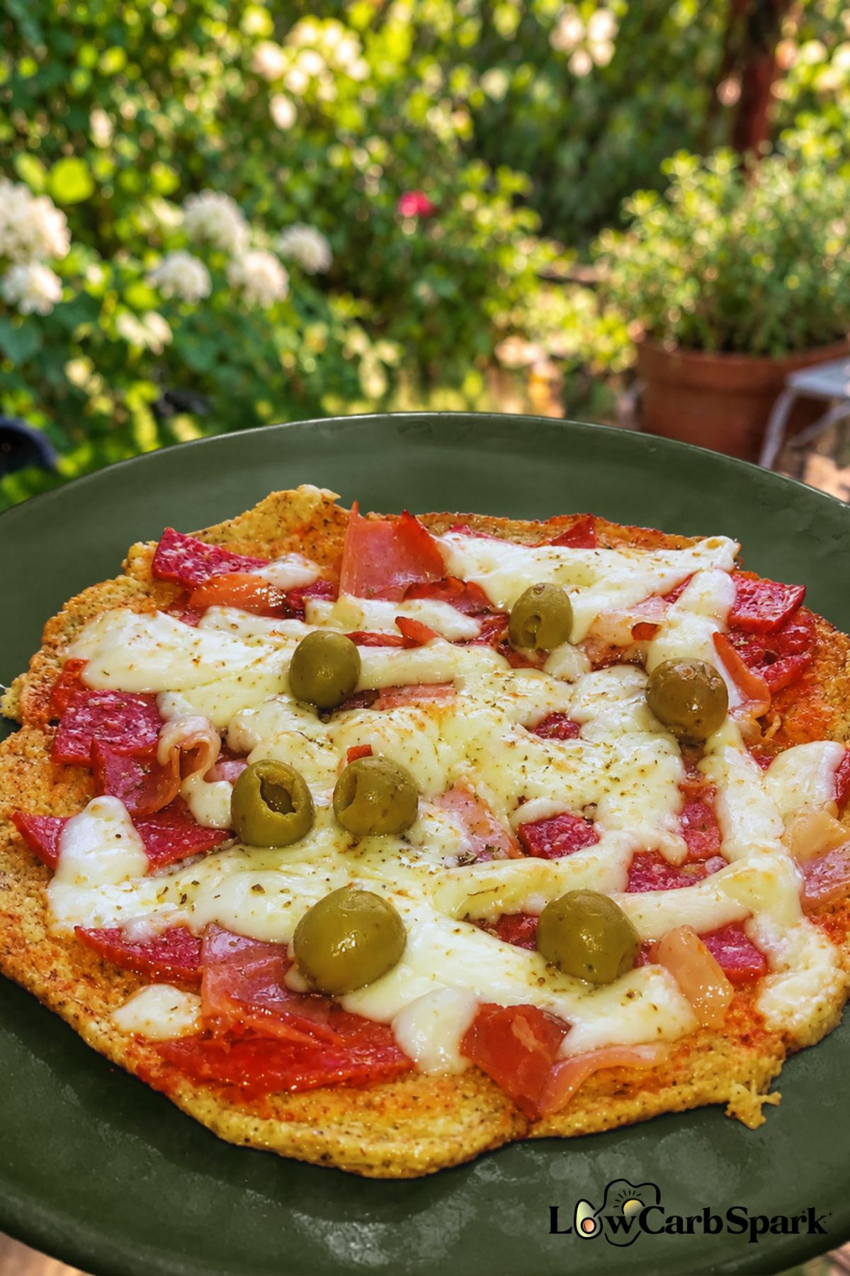 Low Carb Skillet Pizza 1 Low carb skillet pizza topped with melted cheese, salami, bacon, and olives