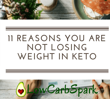11 Reasons You are Not Losing Weight on the Keto Diet