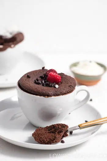 Super Easy Keto Chocolate Mug Cake with Coconut Flour