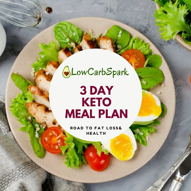 3 day FREE Keto Meal Plan for Beginner with Macros and Recipes