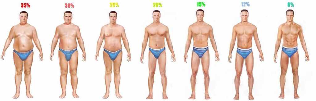 compare for body fat man