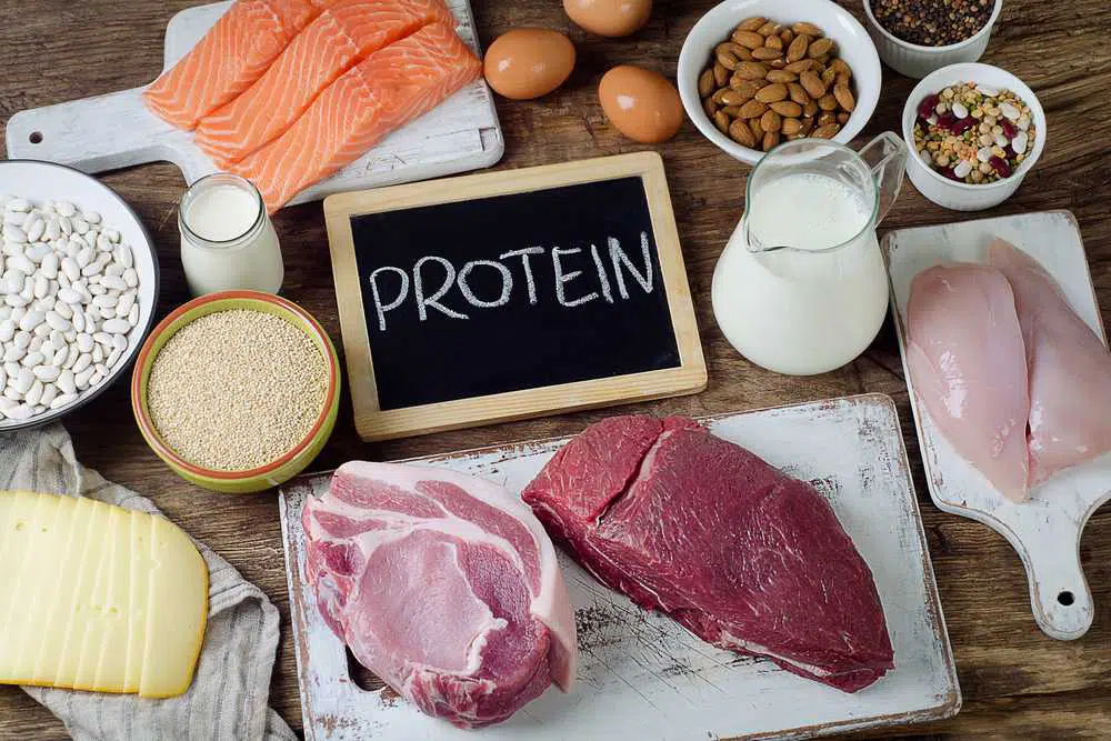 protein in keto diet