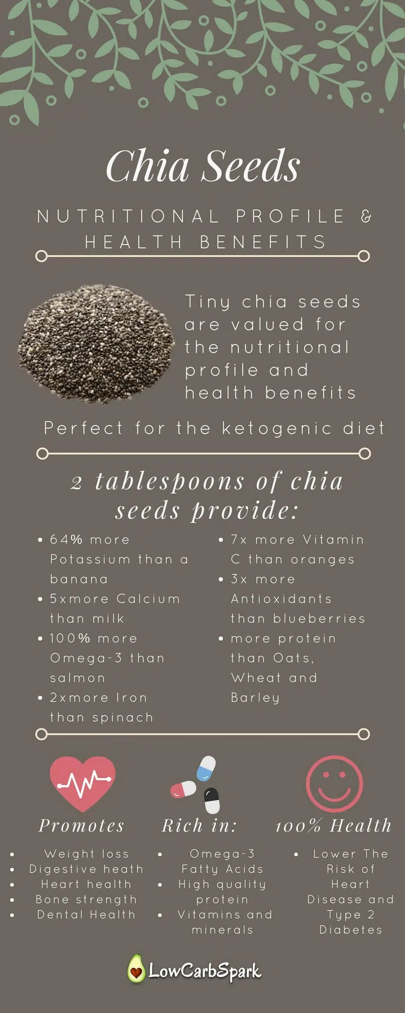 Chia Seeds keto and nutritional value low carb