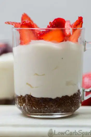 Low Carb No-Bake Cheesecake for One – 5 Minute Keto Dessert