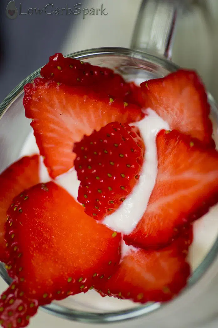 Low Carb No-Bake Cheesecake for One - 5 Minute Keto Dessert 4 keto no bake dessert low carb macros