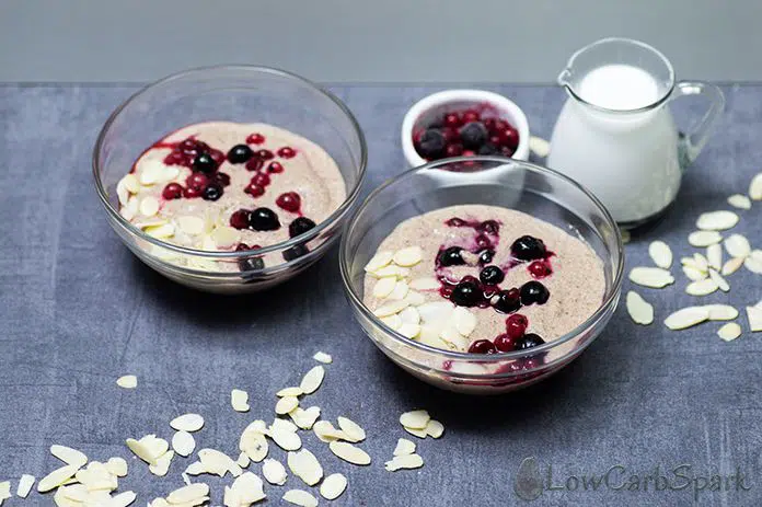 5 Minute Keto Oatmeal Recipe- Low Carb Cereal for Breakfast 3 keto noatmeal