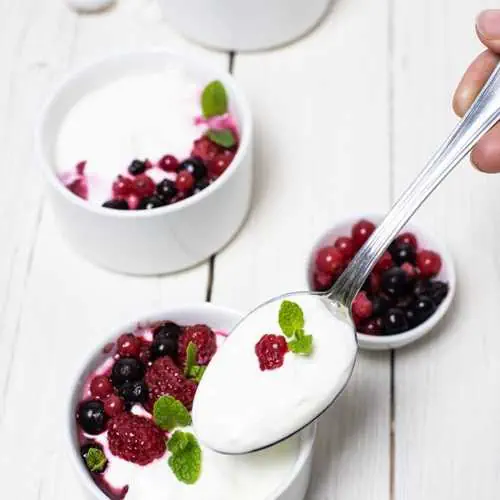 2-Ingredient Low Carb Yogurt 4 Here's a low carb yogurt is extremely easy to make and very low in carbs! This recipe has only 2 ingredients and only 3g carbs for half a cup. That's insane!! www.lowcarbspark.com via @lowcarbspark #lowcarbyogurt #yogurt
