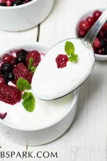 2 Ingredients Low Carb Yogurt – Keto Friendly
