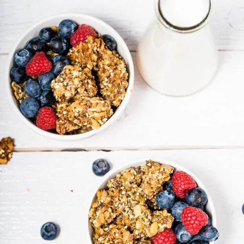 Easy Low Carb Keto Granola Recipe 5 easy keto paleo granola