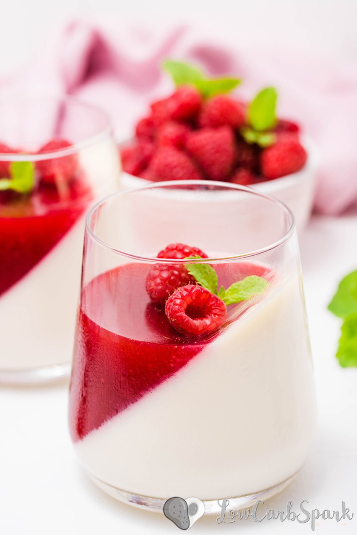 Keto Panna Cotta with Raspberry Gelée 1 keto panna cotta