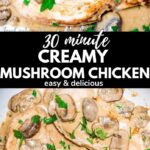 30 minute creamy mushroom chicken marsala chicken pinterest image