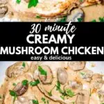 30 minute creamy mushroom chicken marsala chicken pinterest image