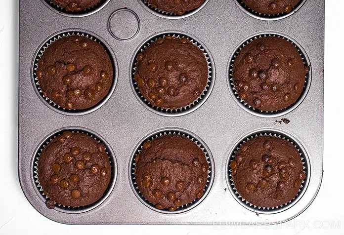 Learn how to make the best keto and paleo chocolate muffins. They are super low in carbs, fluffy and moist with a crispy top! Only low carb ingredients are needed to make them.