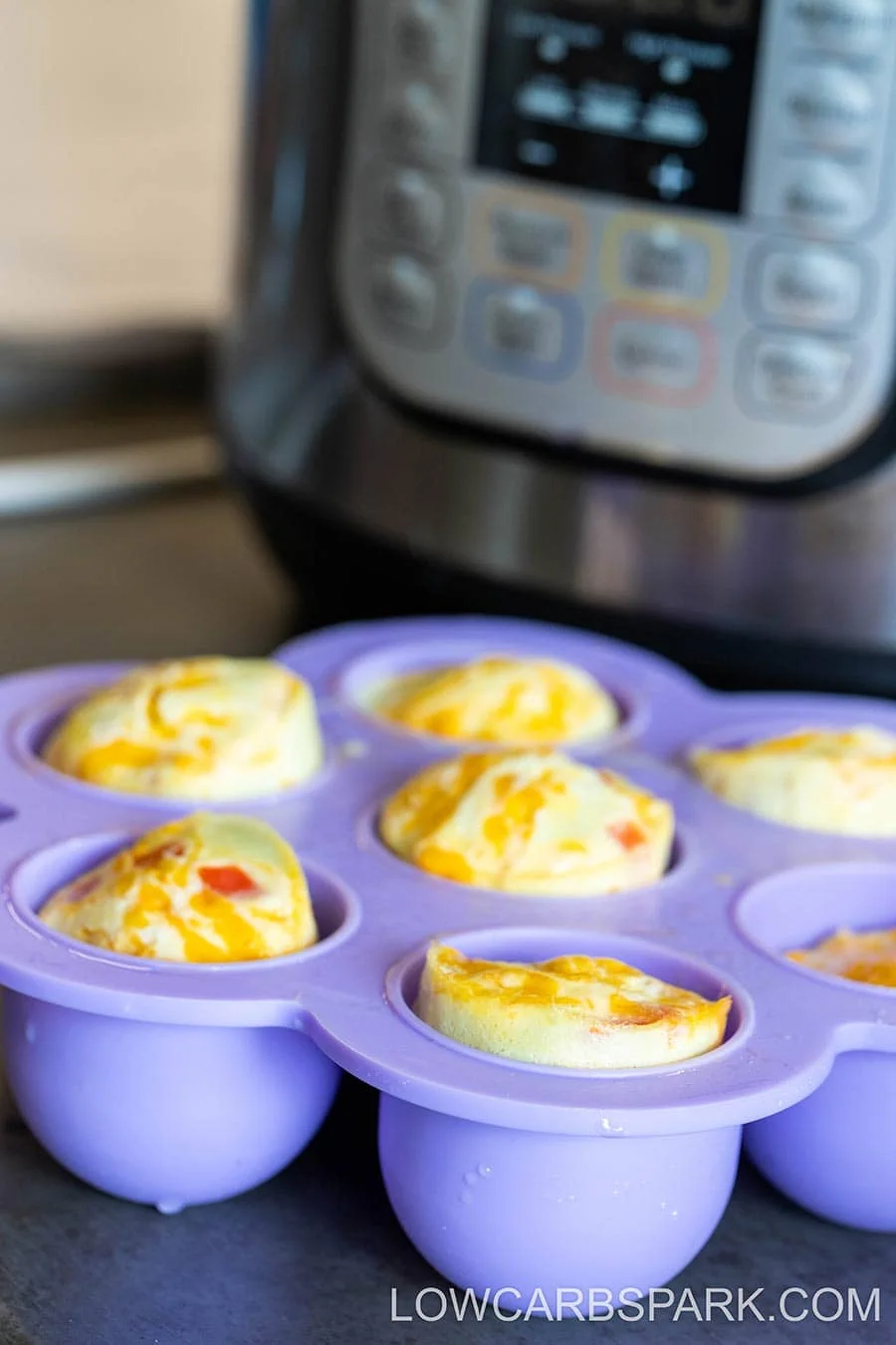 Best Instant Pot Egg Bites 3 how to make egg bites in the instant pot