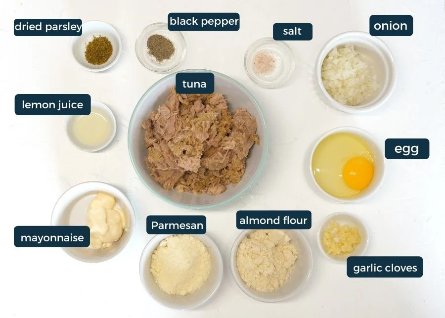 Keto Tuna Cakes with Lemon Dill Aioli 3 keto tuna cakes ingredients