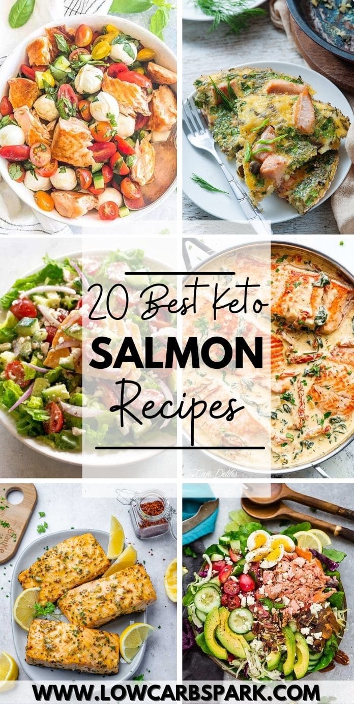 best salmon recipes 