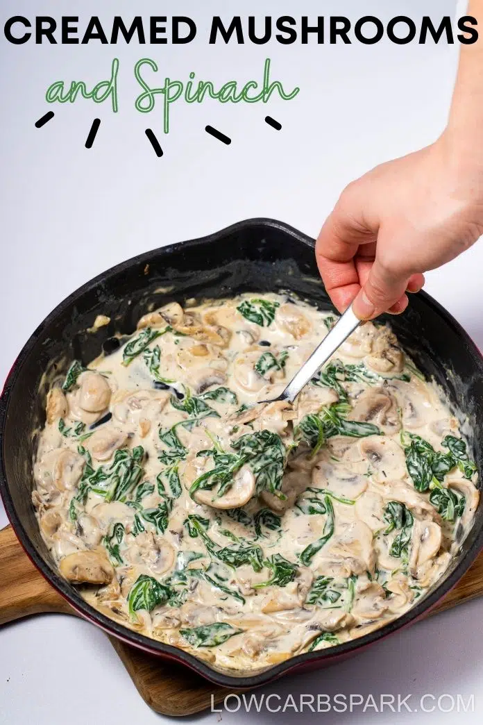 best creamed mushrooms and spinach recipe