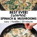best ever creamed mushrooms