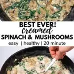best ever creamed mushrooms