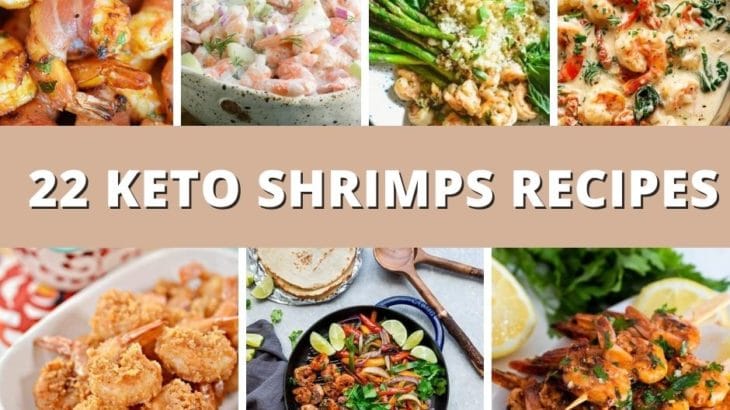 22+ Best Keto Shrimp Recipes – Low Carb Shrimp Recipes
