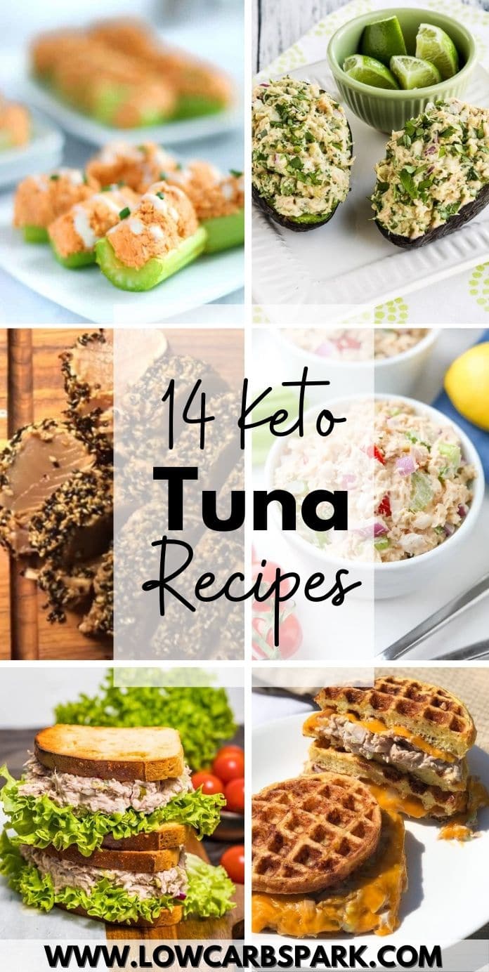 best keto tuna recipes low carb tuna recipes