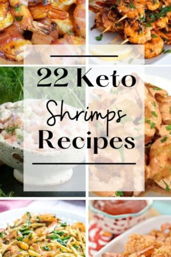 22+ Best Keto Shrimp Recipes
