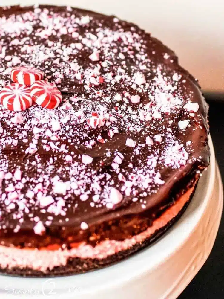 THM Peppermint Chocolate Cheesecake.jpg