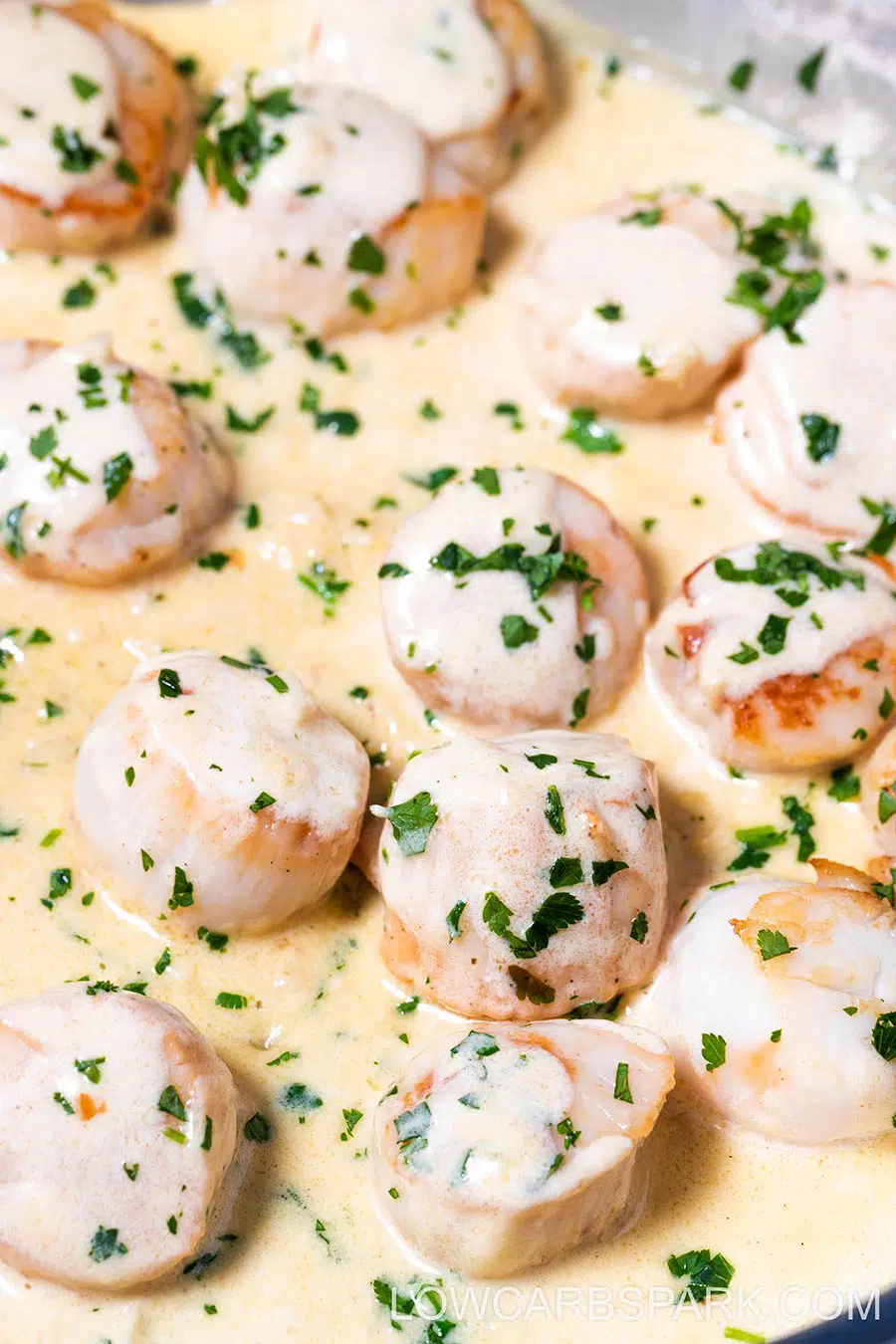 creamy pan seared scallops recipe