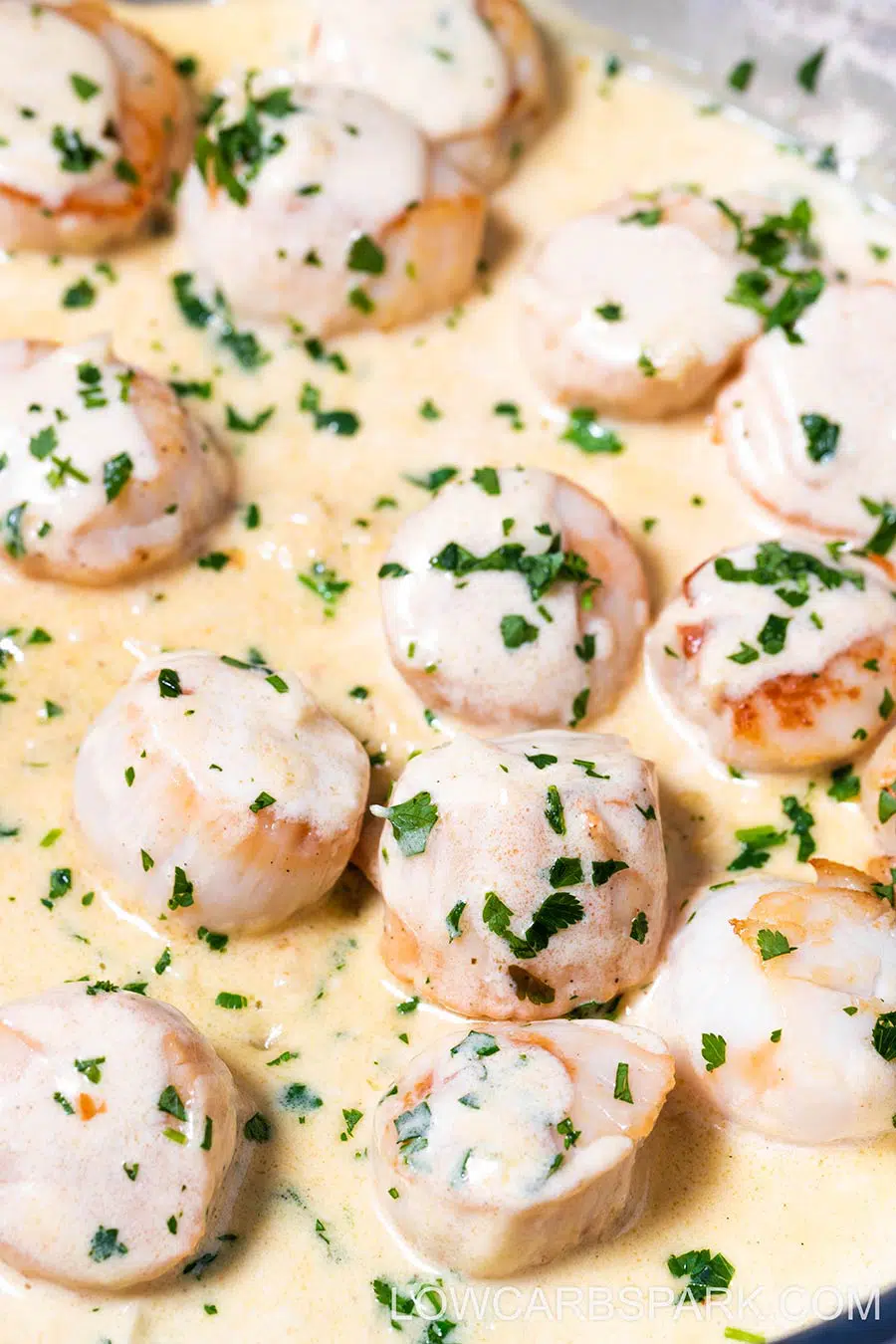 Creamy Pan Seared Scallops with Lemon Garlic Sauce 2 creamy pan seared scallops recipe