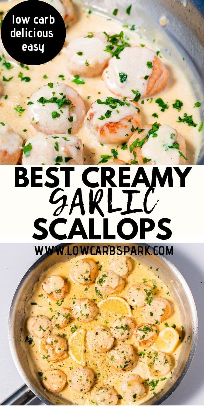 Creamy Pan Seared Scallops with Lemon Garlic Sauce