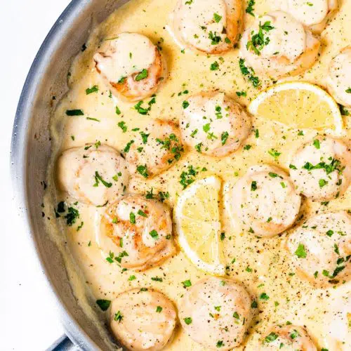 Creamy Pan Seared Scallops with Lemon Garlic Sauce 9 creamy scallops with lemon garlic sauce