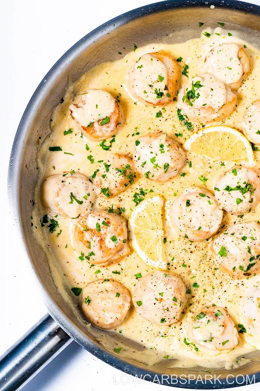 creamy scallops with lemon garlic sauce