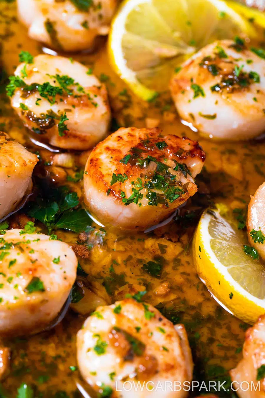 Seared Scallops With Garlic Lemon Butter Sauce 2 garlic butter seared scallops recipe with fresh parsley