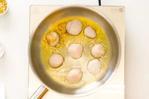 Creamy Pan Seared Scallops with Lemon Garlic Sauce 11 how to make Creamy Garlic Scallops2