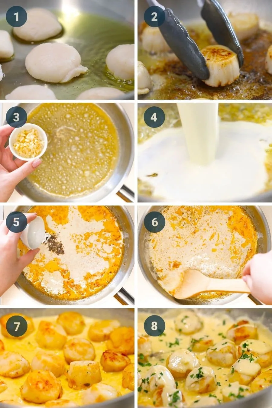 Creamy Pan Seared Scallops with Lemon Garlic Sauce 4 how to make creamy garlic butter pan seared scallops