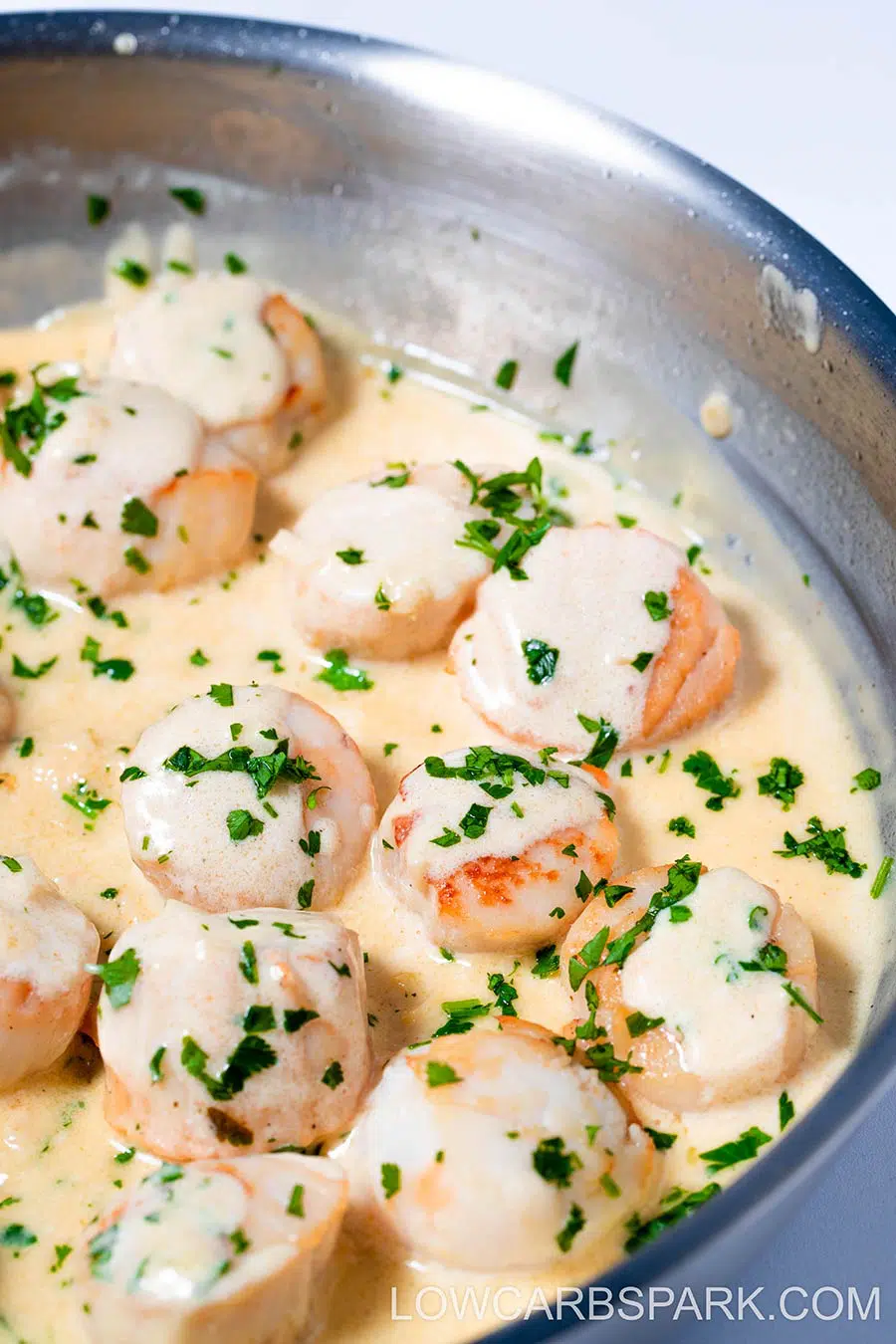 Creamy Pan Seared Scallops with Lemon Garlic Sauce 8 scallops in a creamy garlic sauce