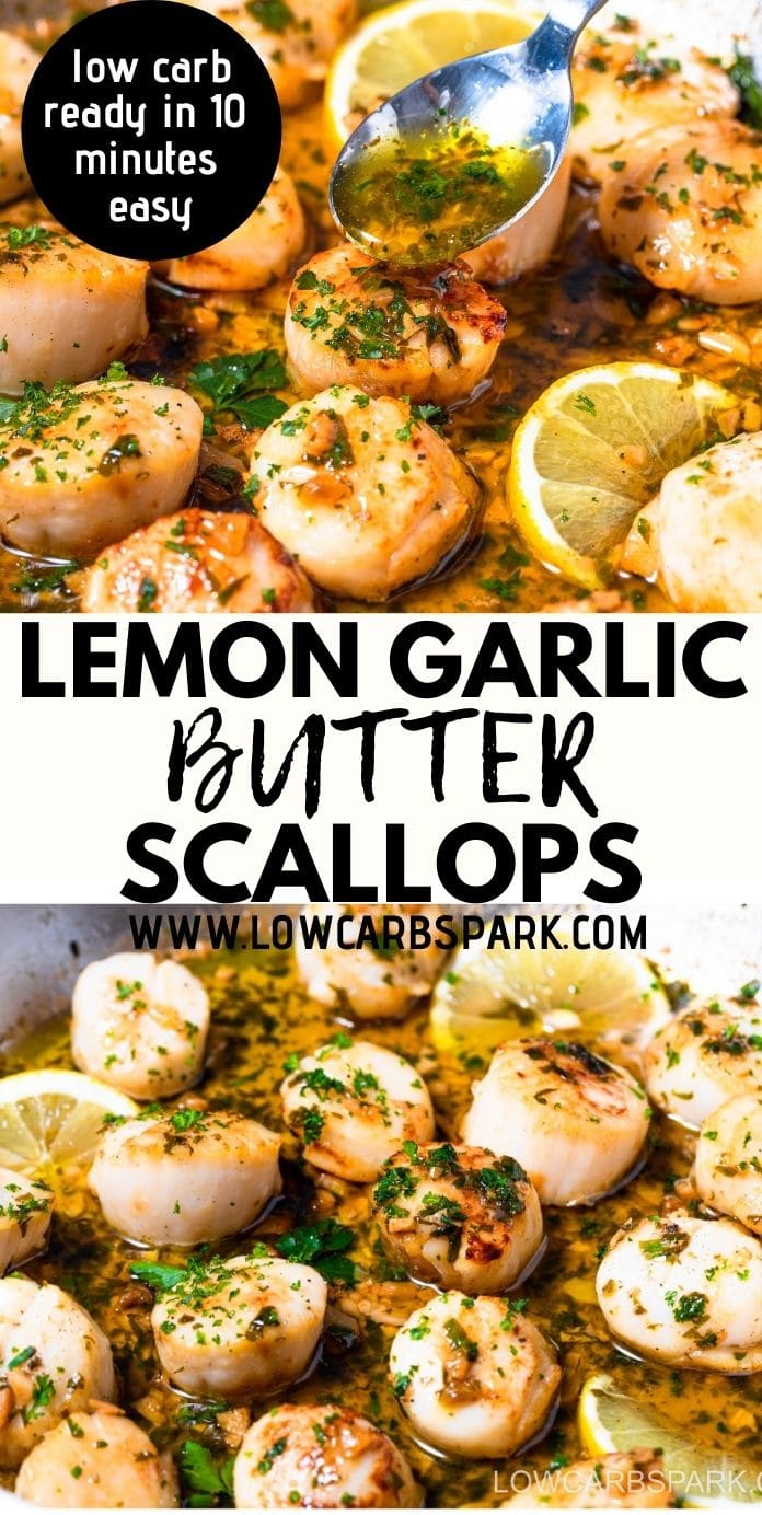 Seared Scallops With Garlic Lemon Butter Sauce