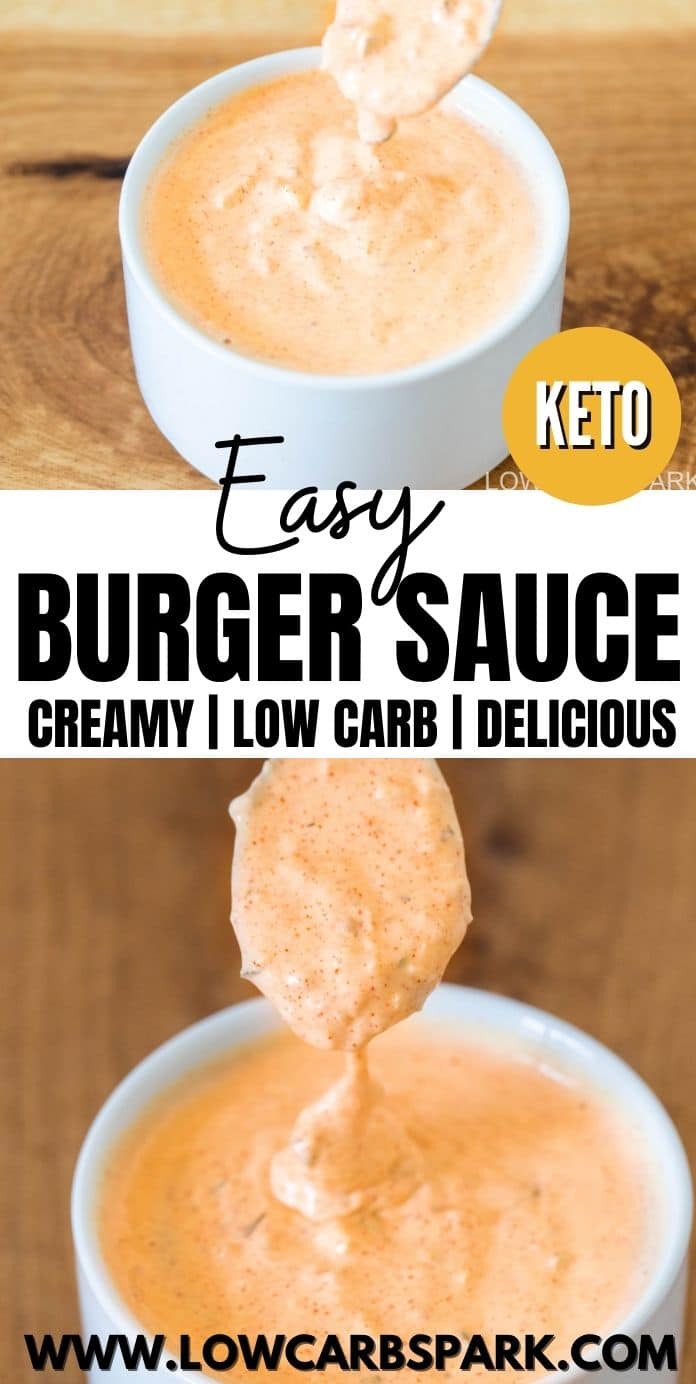 Easy Burger Sauce Recipe