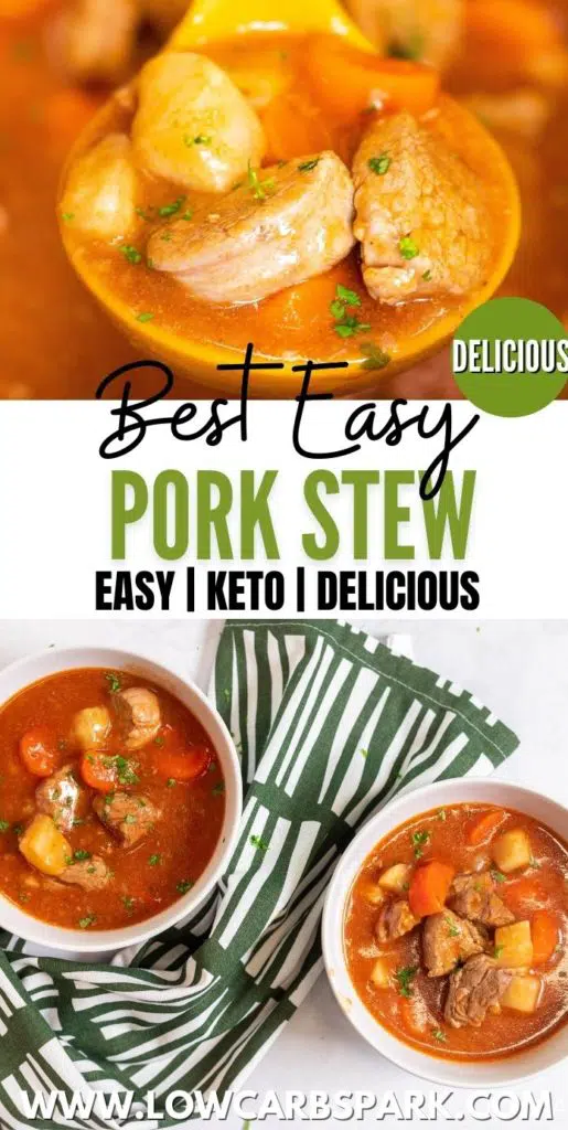 Easy Pork Stew Recipe