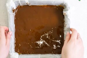 No-Bake Protein Bars 18 how to make Keto Protein Bars5 1