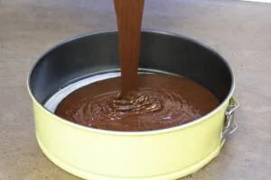 Flourless Chocolate Cake 14 how to make Keto Flourless Chocolate Cake6