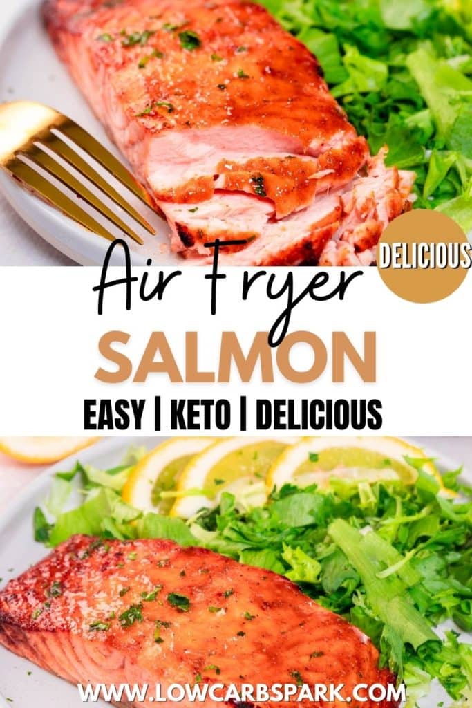 air fryer salmon 2 1