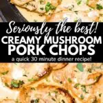 LCS seriously the best pork chops recipe pinterest image