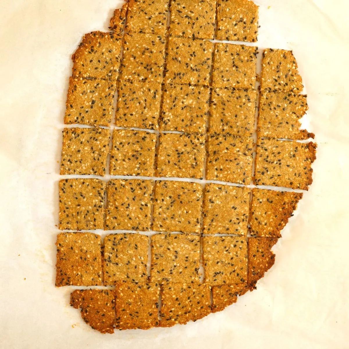 The Best Flaxseed Crackers 11 how to make flaxseed crackers 10