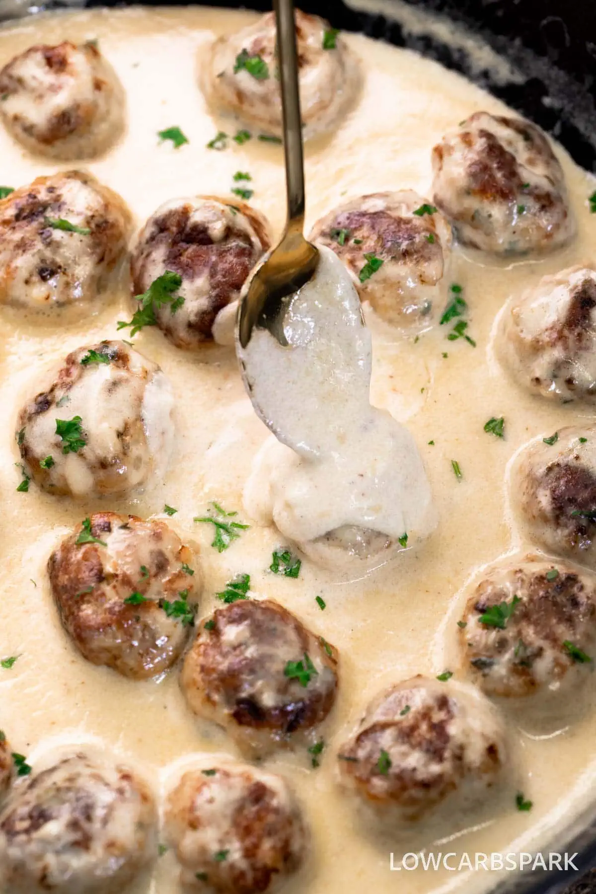 Chicken Meatballs Alfredo 5 Chicken Meatballs Alfredo