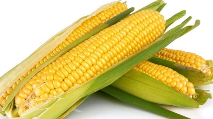 Is Corn Keto? Carbs in Corn
