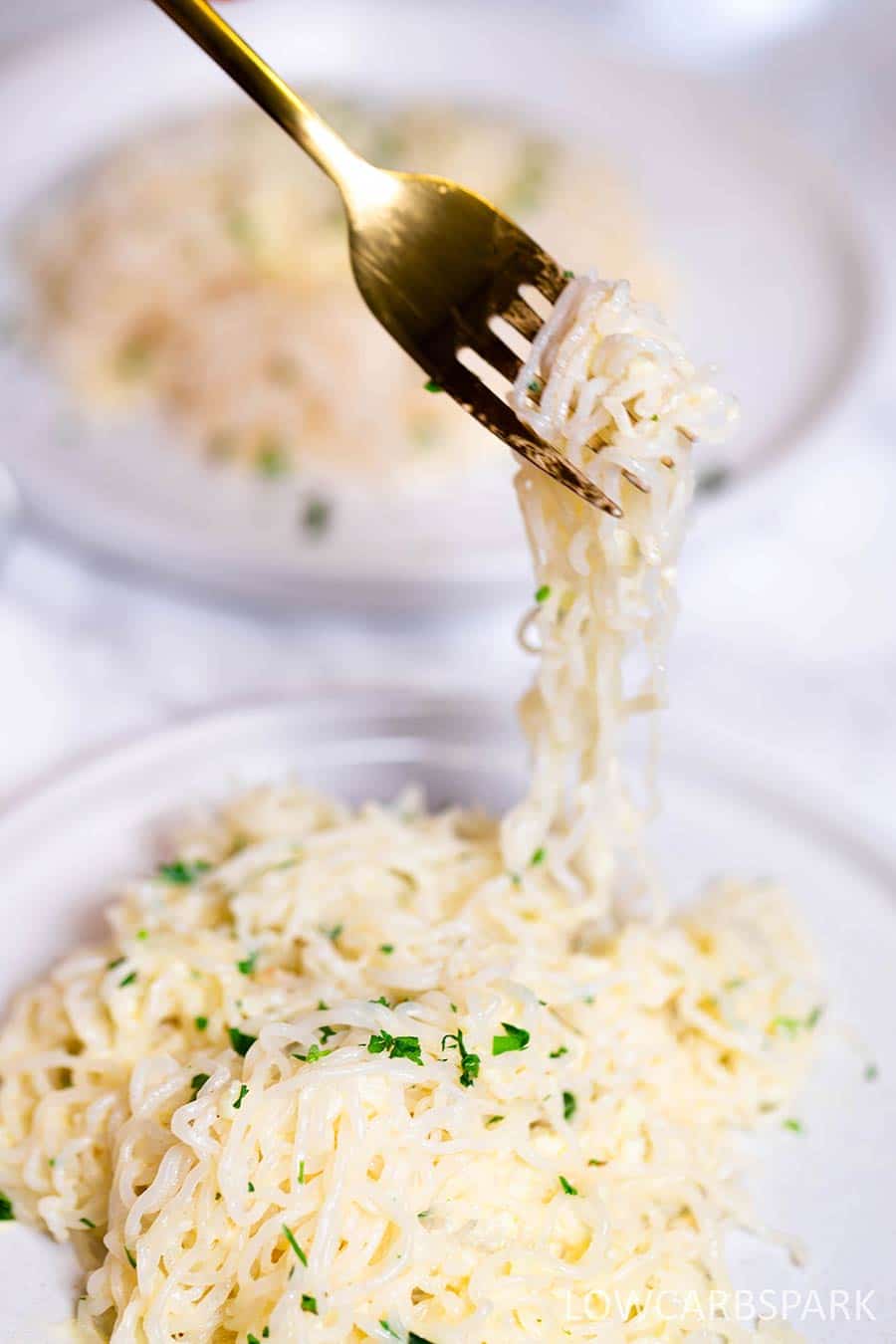 Garlic Butter Shirataki Noodles 